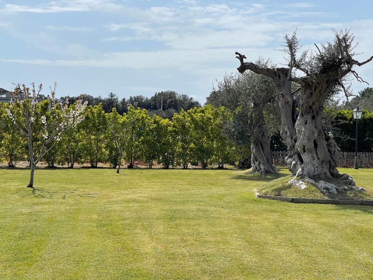 Masseria Giamarra カルピニャーノ・サレンティーノ エクステリア 写真