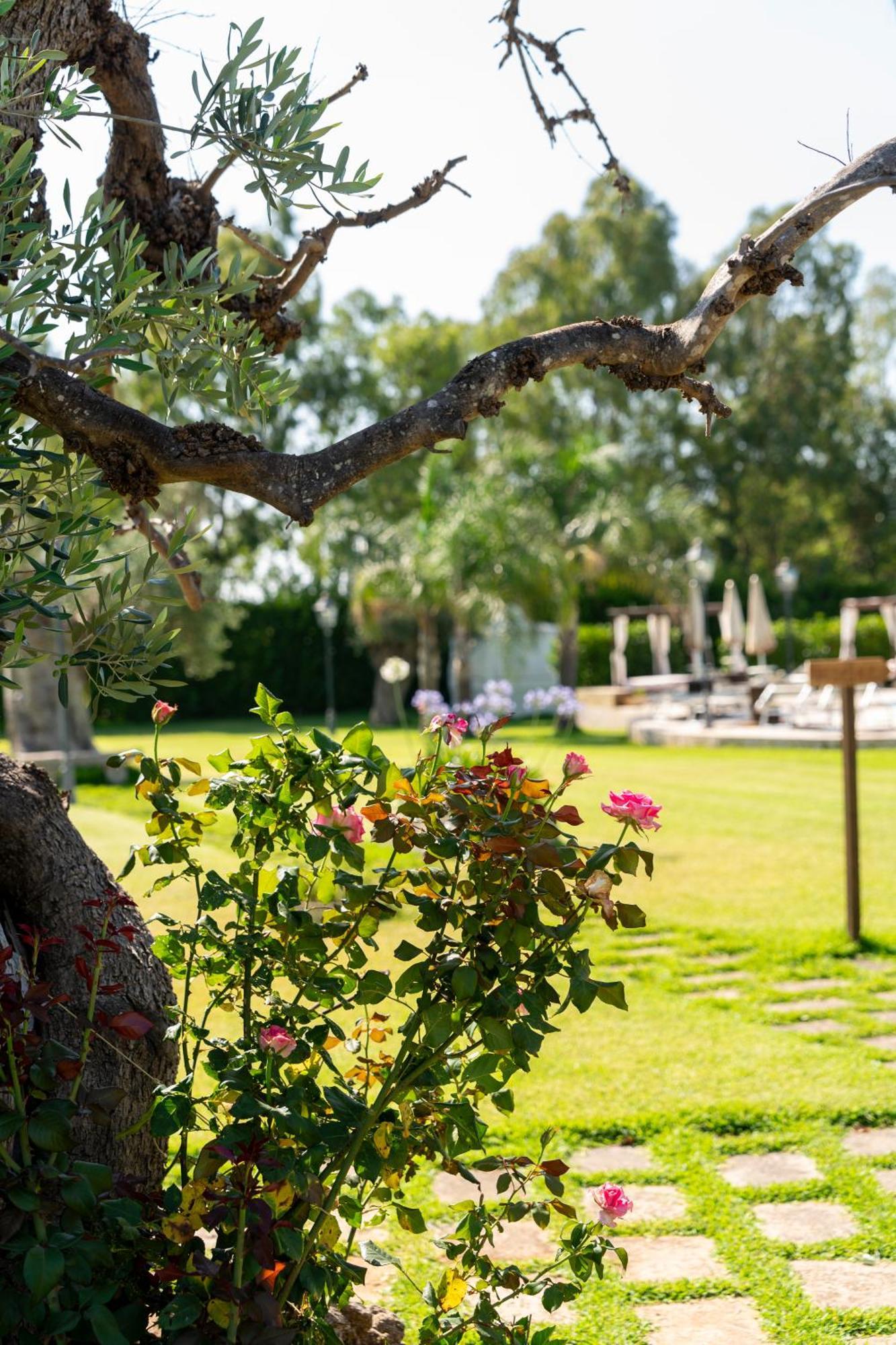 Masseria Giamarra カルピニャーノ・サレンティーノ エクステリア 写真